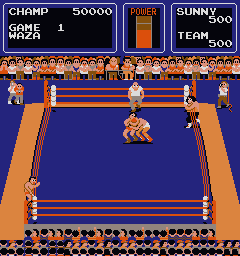 Screenshot Tag Team Wrestling