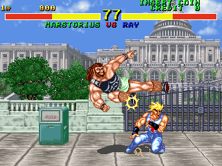 Screenshot Fighter's History