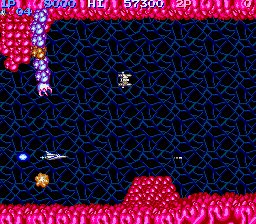 Screenshot Salamander
