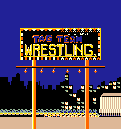 Screenshot Tag Team Wrestling