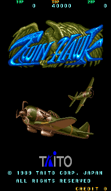 Screenshot Twin Hawk