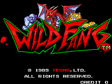 Screenshot Tecmo Knight