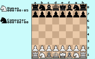 Screenshot Chess Simulator