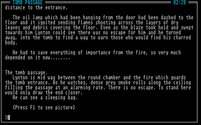 Screenshot Demon's Tomb : The Awakening