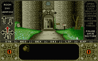 Screenshot Elvira : Mistress Of The Dark