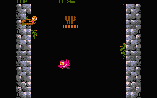 Screenshot Fly Robin Fly