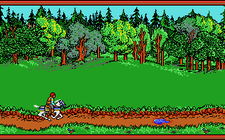 Screenshot Hillsfar