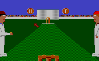 Screenshot International Cricket II