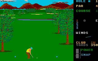 Screenshot Leader Board Pro Golf Simulator