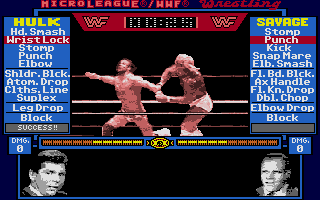 Screenshot Micro League Wrestling