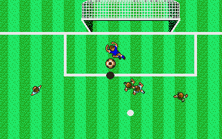 Screenshot MicroProse Soccer