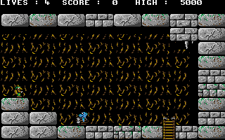 Screenshot Rumbo