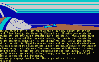 Screenshot Silicon Dreams