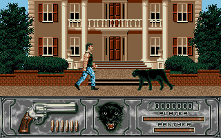 Screenshot Wild Streets