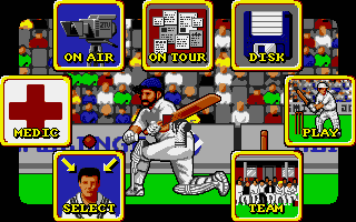 Screenshot World Cricket