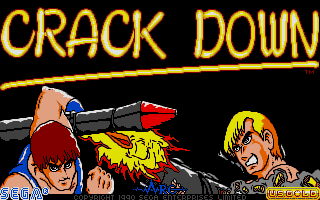 Screenshot Crack Down