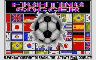 Screenshot Fighting Soccer