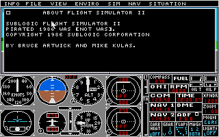 Screenshot Flight Simulator II
