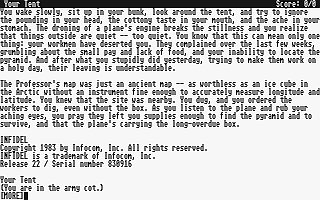 Screenshot Infidel