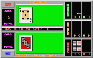 Screenshot Pontoon