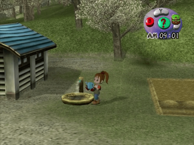 Screenshot Harvest Moon : Another Wonderful Life