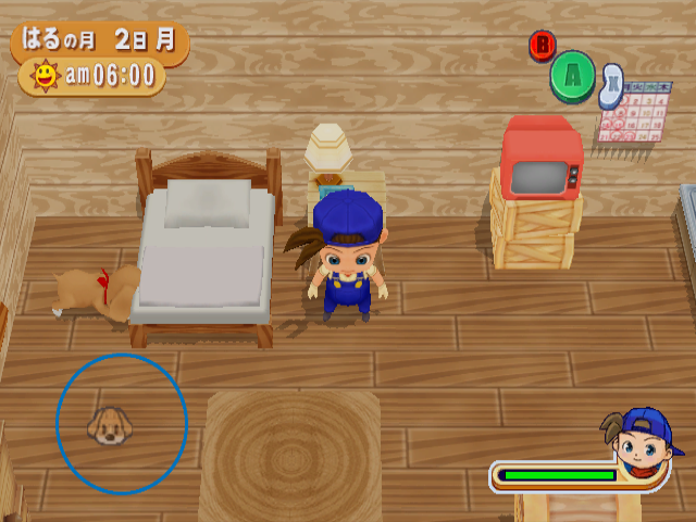 Screenshot Harvest Moon : Magical Melody