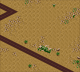 Screenshot Desert Strike