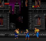 Screenshot Double Dragon: The Revenge of Billy Lee