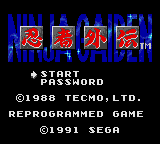 Screenshot Ninja Gaiden