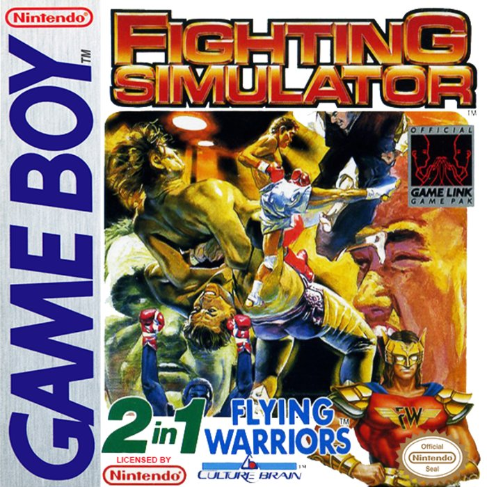 Fighting Simulator - 2 in 1 Flying Warriors
