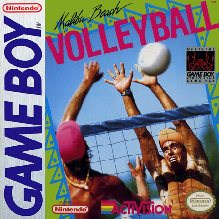 Malibu Beach Volleyball