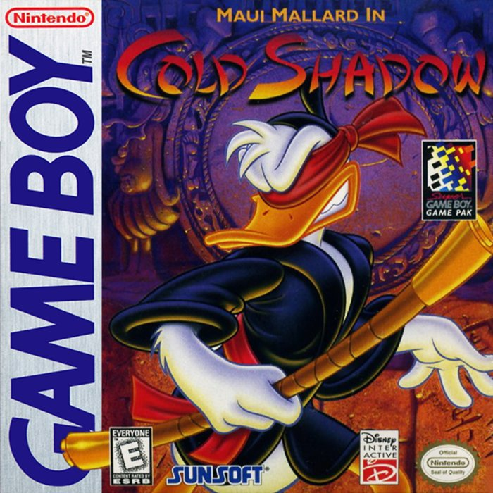 Maui Mallard in Cold Shadow