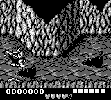 Screenshot Battletoads in Ragnarok's World