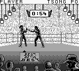 Screenshot Best of the Best : Championship Karate