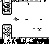 Screenshot Collection Pocket