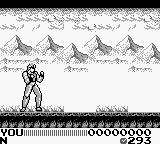 Screenshot Fighting Simulator - 2 in 1 Flying Warriors
