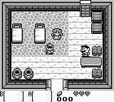 Screenshot The Legend of Zelda: Link's Awakening