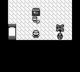 Screenshot Pocket Monsters : Midori