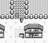 Screenshot Pokémon : Version Bleue