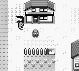Screenshot Pokémon : Version Jaune, Édition Spéciale Pikachu