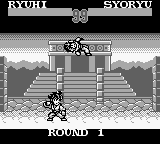 Screenshot SD Hiryuu no Ken Gaiden 2