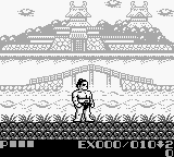 Screenshot Sumo Fighter
