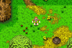 Screenshot Banjo-Kazooie : Grunty's Revenge