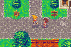 Screenshot Dokapon : Monster Hunter