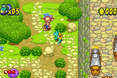 Screenshot Frogger's Adventures : Temple of the Frog