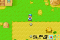 Screenshot Harvest Moon : Friends of Mineral Town