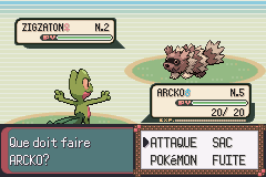 Screenshot Pokémon : Version Emeraude