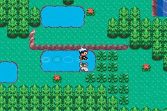 Screenshot Pokémon : Version Rubis