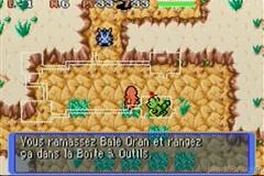 Screenshot Pokémon Mystery Dungeon : Red Rescue Team