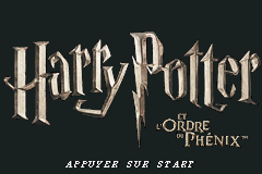 Screenshot Harry Potter and the Order of the Phoenix